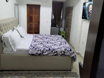 chambre meublée d'un lit king size avec coussins et d'une télévision-chambre meublée à douala à l'armée de l'air